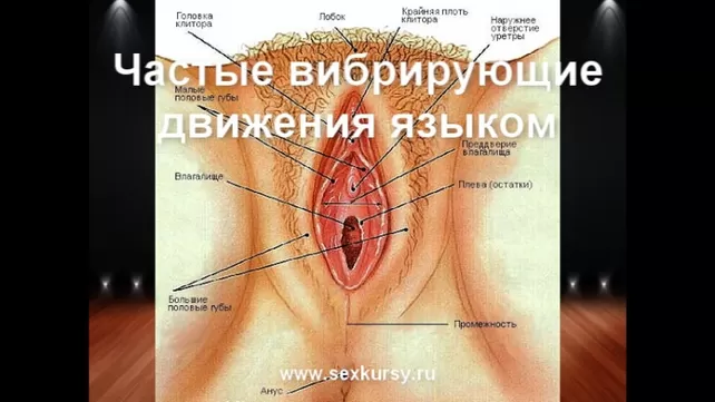 Как правильно делать минет