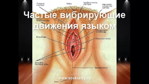 11 невероятных поз для анального секса – Sex Box